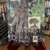 From Rainforest To Bonsai - The Nook Yamba Second Hand Books