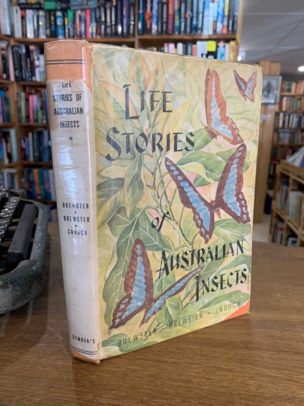 The Nook Yamba - Life Stories of Australian Insects  by Mabel & Agnes Brewster