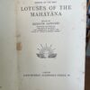 Lotuses of the Mahayana - The Nook Yamba